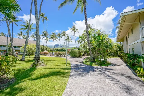 Paved pathway through palm-lined resort grounds