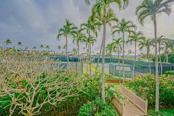 Tennis Court Views Through Tropical Gardens