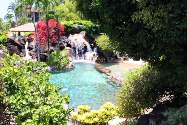 Discover a peaceful tropical pool surrounded by lush colorful greenery