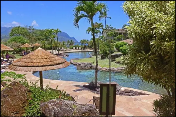 Tropical pool area showcases clear waters, palms, and relaxing surroundings