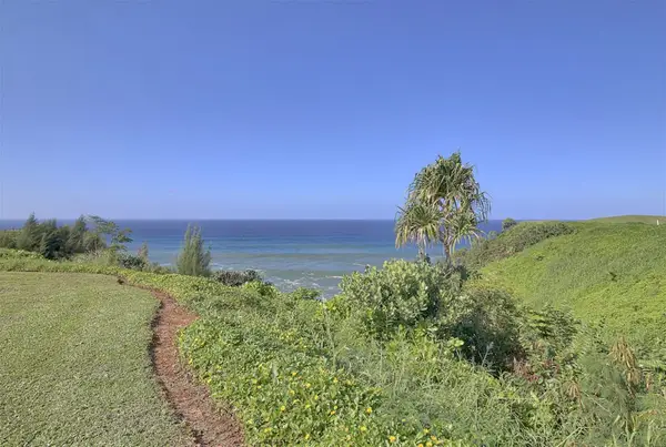 Scenic landscapes showcase green hills, ocean waters, and skies