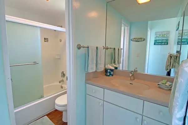Master bathroom with Shower/Tub combo.