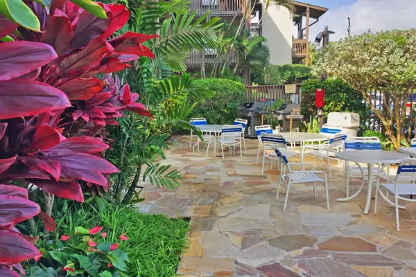 Spacious Backyard with Lush Tropical Landscaping