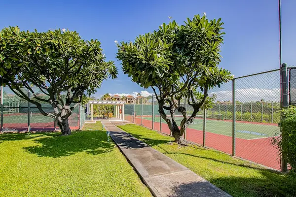 Landscaped Tennis Court Walkway Flanked by Flowering Frangipani Trees
