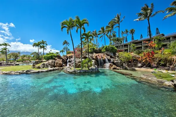 Refresh in the tropical pool surrounded by swaying palms and sunshine