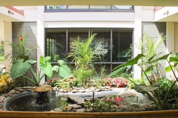 Peaceful Tropical Garden Courtyard