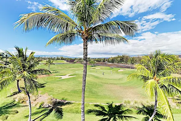 Scenic Golf Course Green Framed by Tropical Palm Trees