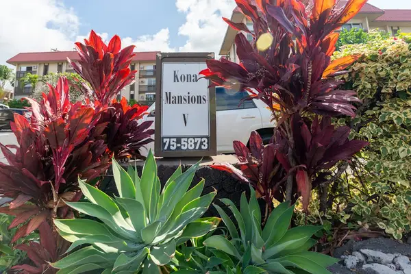 Property Entrance Sign with Tropical Landscaping and Foliage