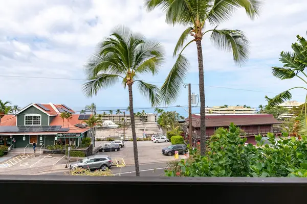 Panoramic Coastal Views, Ocean Horizon, Tropical Palm Trees & Nearby Town