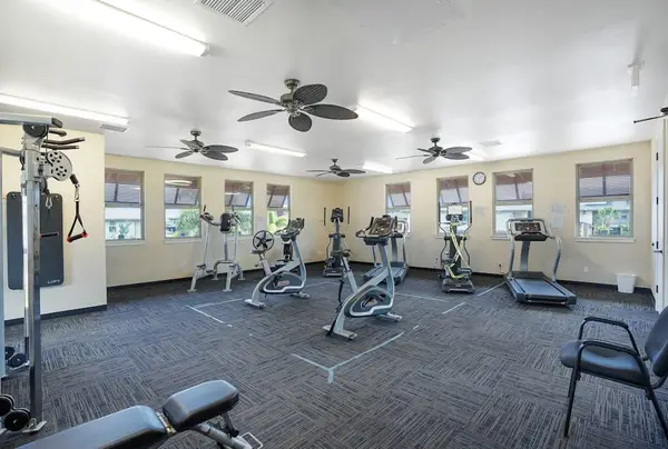 Spacious Gym With Modern Equipment