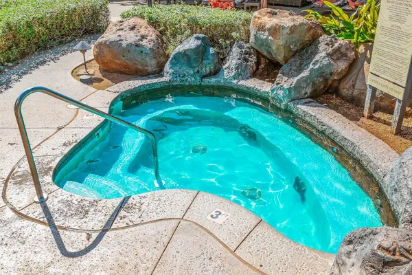 Unwind In A Relaxing Whirlpool Spa