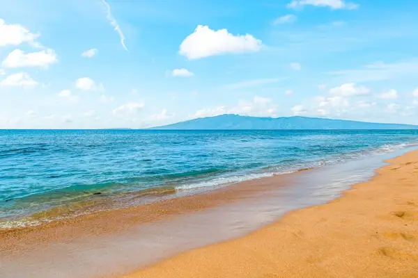 Golden Sands And Endless Ocean Serenity