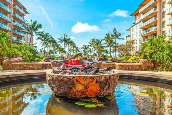 Gather Around The Fire Under Tropical Skies