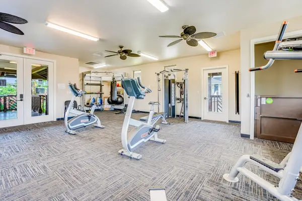 Bright Community Gym With Cardio Equipment