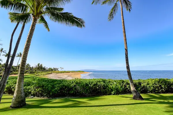 Relax on pristine white sandy beaches beneath swaying palm trees and gentle ocean breezes.