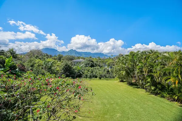 Lush tropical views