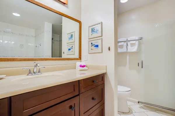 Guest Bathroom Vanity with Dark Wood Cabinets & Walk-In Glass Shower