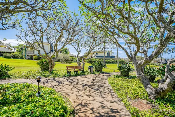 Paved Walking Trail & Park Bench Nestled Under Tropical Plumeria Trees