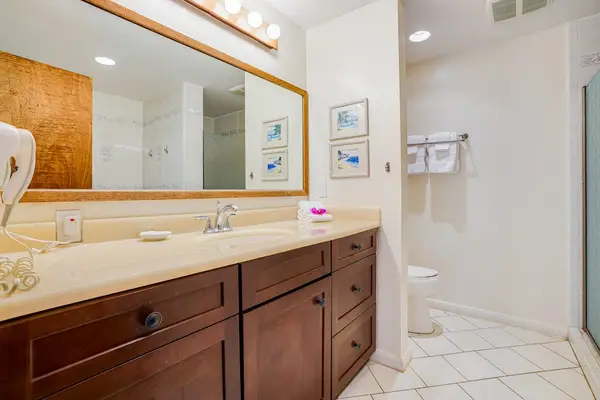 Primary Ensuite Bathroom with Large Vanity, Framed Mirror & Walk-In Shower