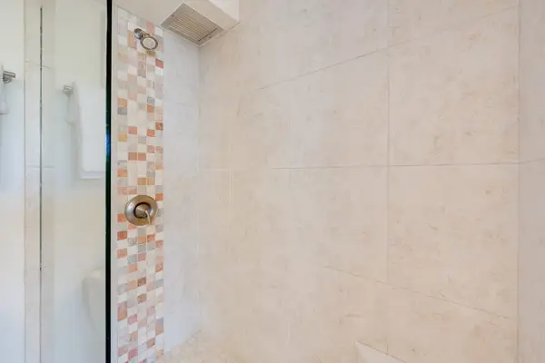 Walk-In Shower With Elegant Tile Accents