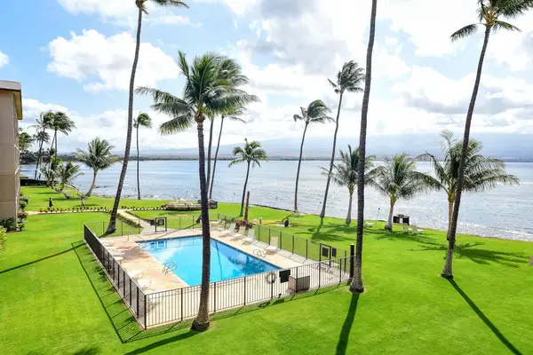 Oceanfront Pool With Tropical Views