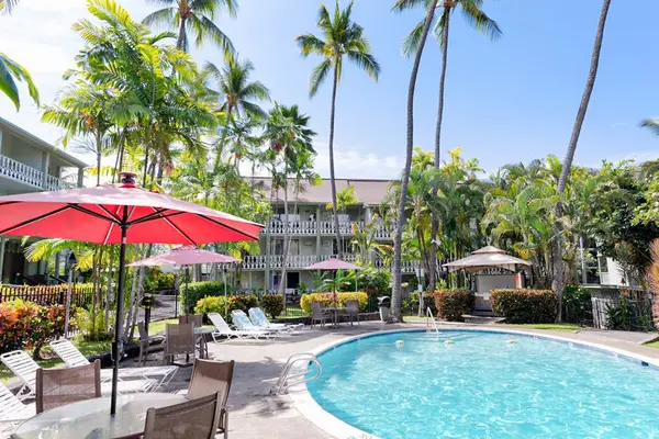Poolside Paradise Under Swaying Palms