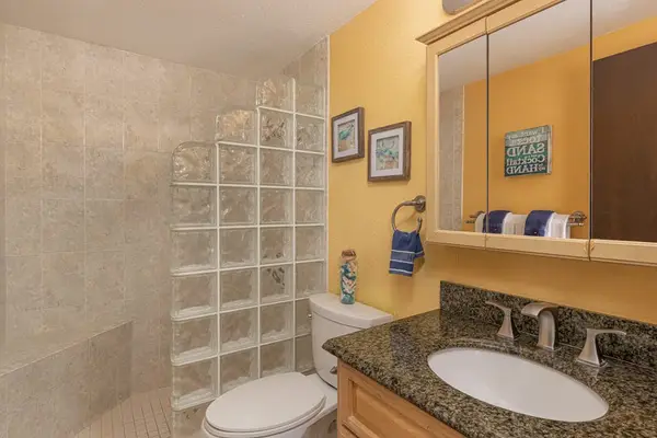 Bathroom with Granite Vanity & Glass Block Shower