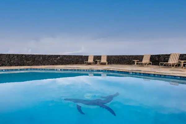 Resort-Style Pool with Ocean View