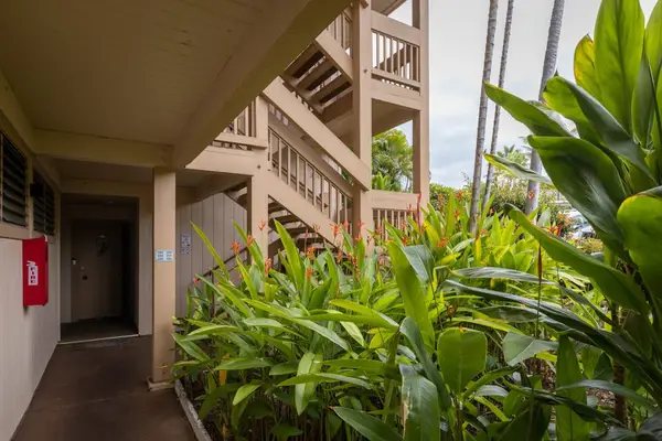 Covered Walkway with Tropical Landscaping