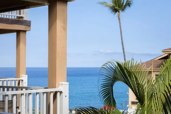 Ocean View Framed by Palm Trees from Balcony
