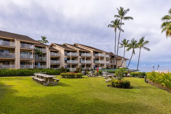 Resort Exterior with Palm Trees & Green Lawn