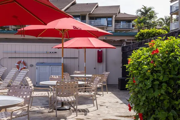 Patio with Tropical Landscaping