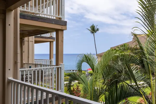 Balcony View Overlooking Ocean & Palm Trees
