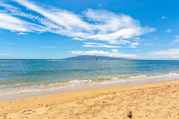 Pristine Beach With Unforgettable Ocean Views