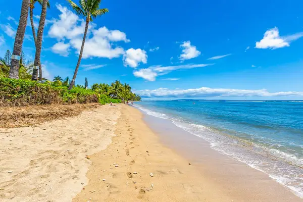 Miles Of Golden Sand And Crystal Waters