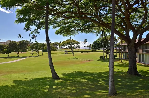 Peaceful Park Like Island Grounds