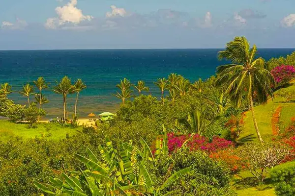 Beautiful tropical landscape opens toward sparkling blue waters beyond greenery