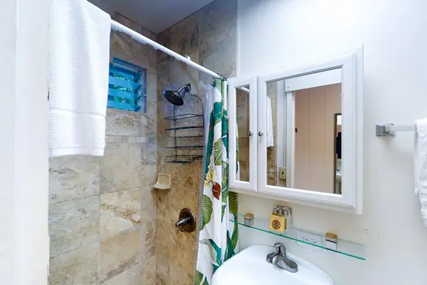 Fresh Spa Inspired Bathroom