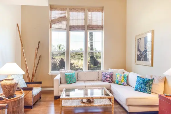 Bright living space filled with natural light