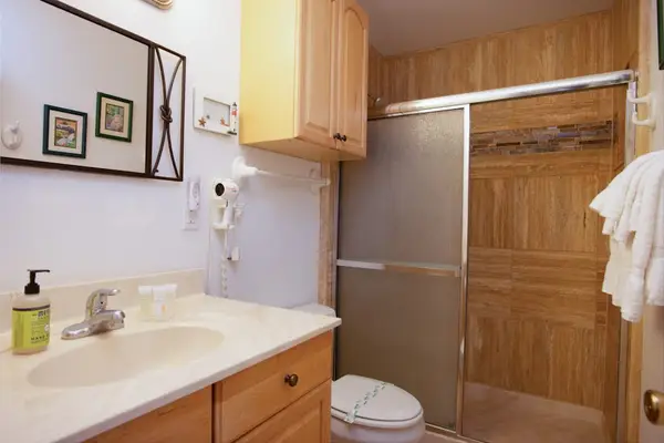 Full bathroom includes a vanity mirror toilet and convenient storage
