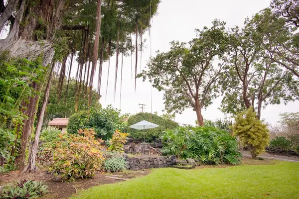 Lush Tropical Garden Grounds with Mature Trees and Scenic Landscaping
