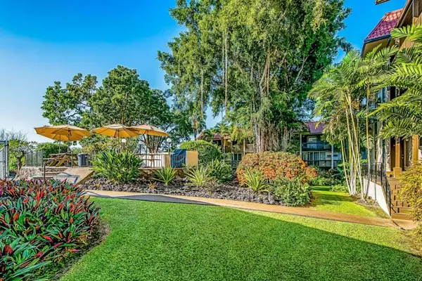 Landscaped Backyard Lawn with Paved Walkway and Surrounding Greenery