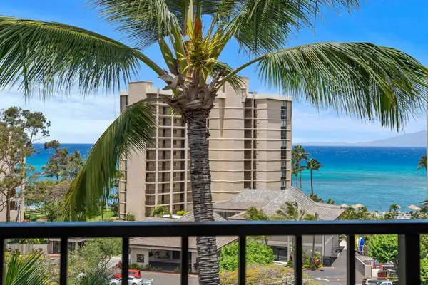 Palm Framed Ocean Views From Above