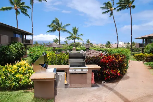 Tropical BBQ Gathering Spot