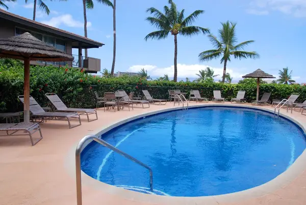 Palm Framed Resort Pool