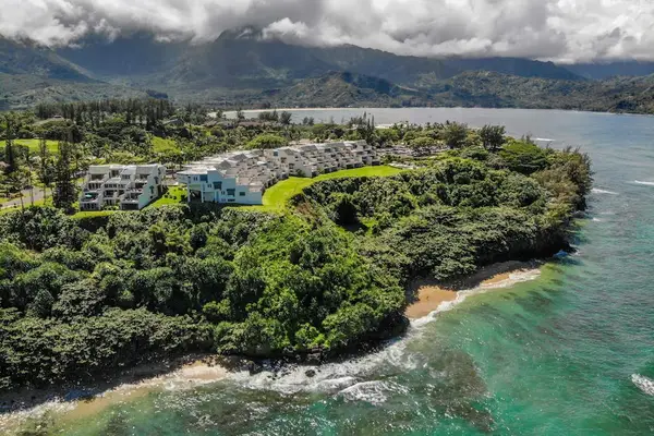Aerial view of the property nestled among lush tropical greenery by the sea