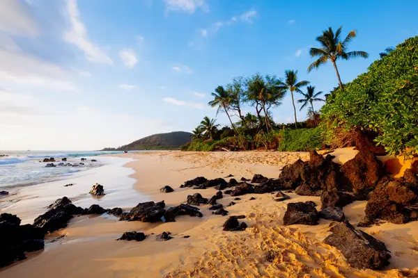 Secluded beach with golden sand and lava rocks