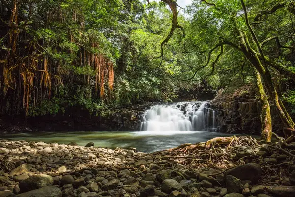 Tropical waterfall surrounded by lush rainforest