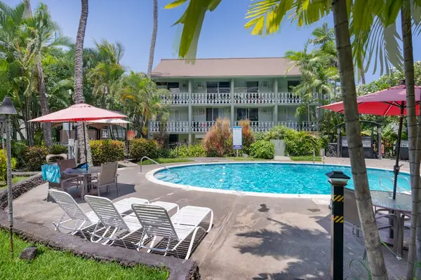Resort Pool Surrounded By Tropical Palms