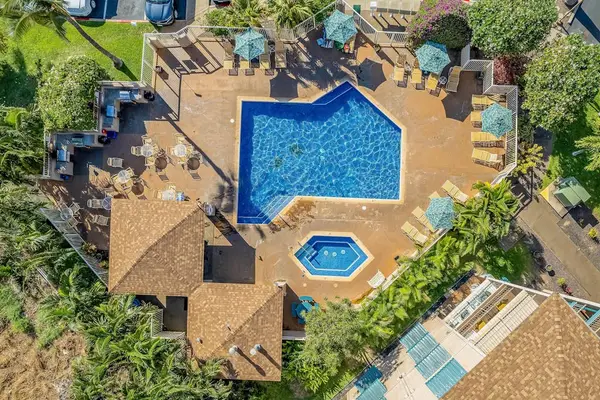 Resort Pool Oasis From Above